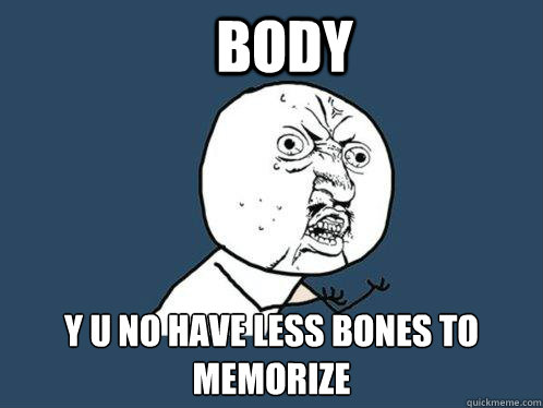 BODY Y U NO HAVE LESS BONES TO MEMORIZE  Y U No