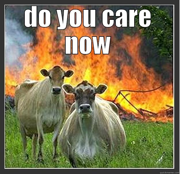 DO YOU CARE NOW  Evil cows