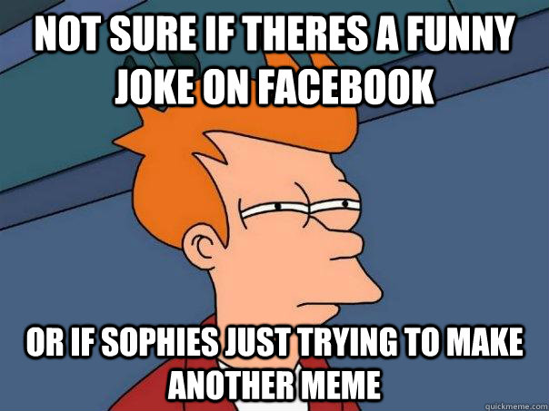 Not sure if theres a funny joke on facebook Or If sophies just trying to make another meme  Futurama Fry