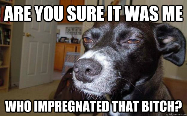 Are you sure it was me who impregnated that bitch?  Skeptical Mutt