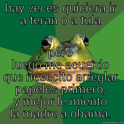 HAY VECES QUICIERA IR A TERAN O A TULA PERO LUEGO ME ACUERDO QUE NESECITO ARREGLAR PAPELES PRIMERO, Y MEJOR LE MIENTO LA MADRE A OBAMA. Foul Bachelor Frog