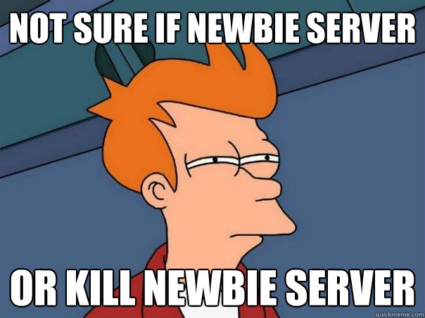 not sure if newbie server or kill newbie server  Futurama Fry