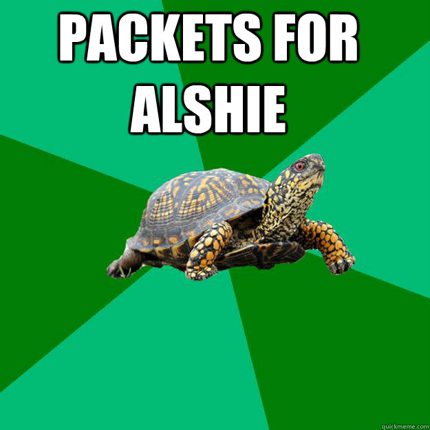 Packets for AlSHIE   Torrenting Turtle