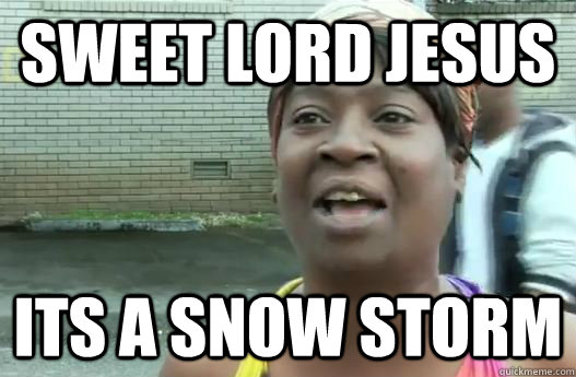 Sweet lord jesus Its a snow storm  Sweet Brown