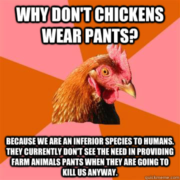 Why don't chickens wear pants? Because we are an inferior species to humans. They currently don't see the need in providing farm animals pants when they are going to kill us anyway.  Anti-Joke Chicken