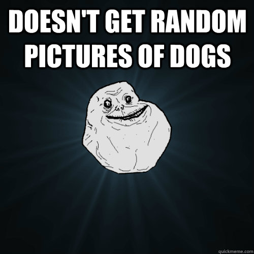 Doesn't get random pictures of dogs   Forever Alone