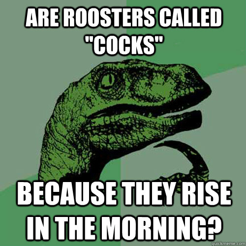 Are roosters called 