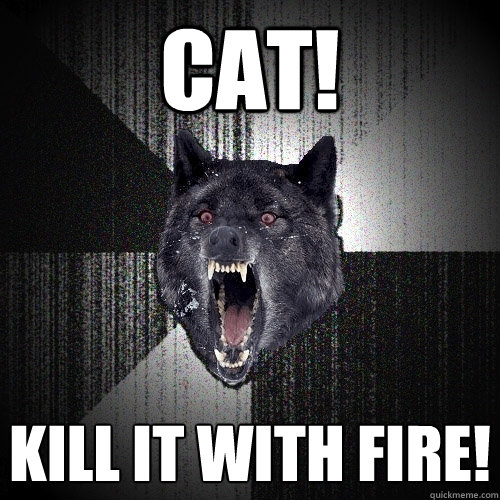 CAT! KILL IT WITH FIRE!  Insanity Wolf