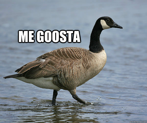 Me Goosta - Me Goosta  me goosta