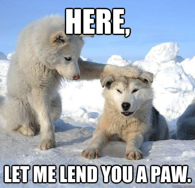 Here, Let me lend you a paw.  Caring Husky