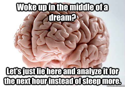 Woke up in the middle of a dream? Let's just lie here and analyze it for the next hour instead of sleep more.  Scumbag Brain