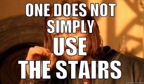 ONE DOES NOT SIMPLY USE THE STAIRS Boromir