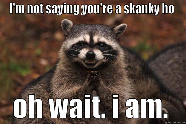 I'M NOT SAYING YOU'RE A SKANKY HO OH WAIT. I AM. Evil Plotting Raccoon