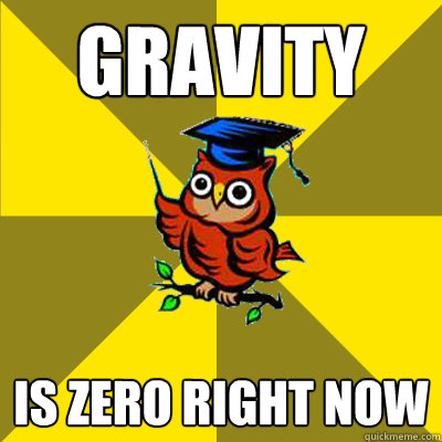 GRAVITY IS ZERO RIGHT NOW  Observational Owl