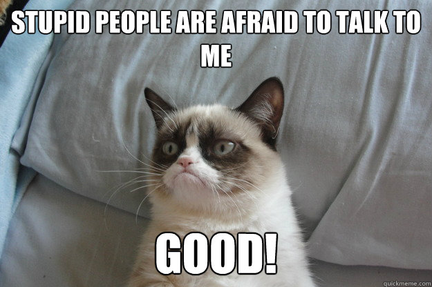 stupid people are afraid to talk to me Good!  