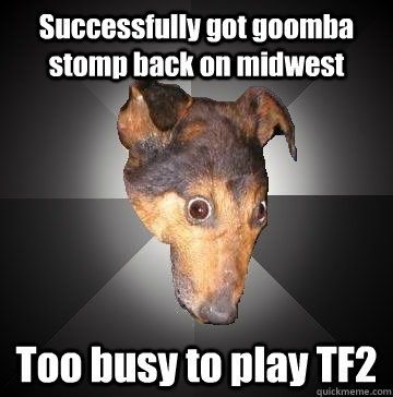 Successfully got goomba stomp back on midwest Too busy to play TF2  Depression Dog