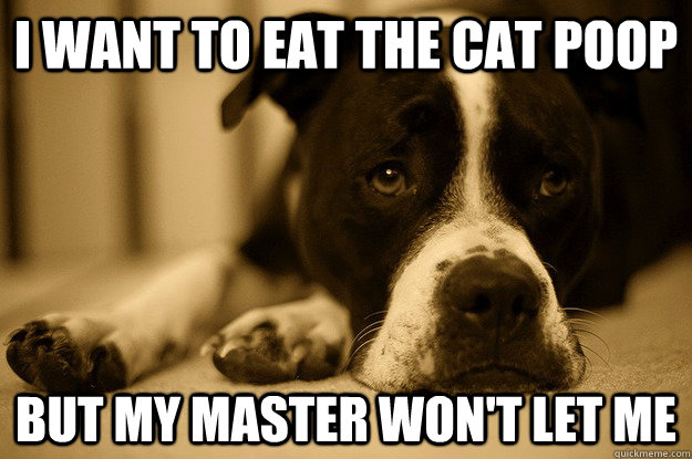 i want to eat the cat poop but my master won't let me  