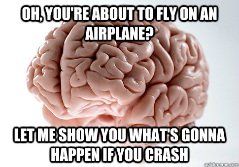 Oh, you're about to fly on an airplane? Let me show you what's gonna happen if you crash  Scumbag Brain