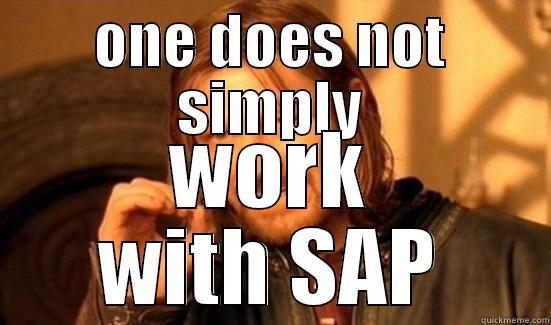 ONE DOES NOT SIMPLY WORK WITH SAP Boromir