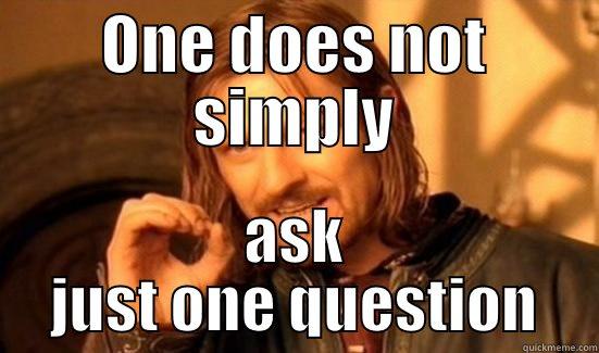 ONE DOES NOT SIMPLY ASK JUST ONE QUESTION Boromir