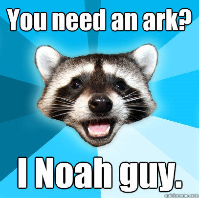 You need an ark? I Noah guy.  