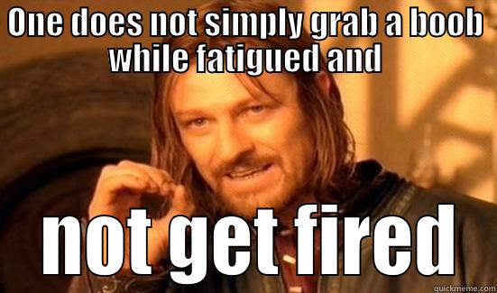 ONE DOES NOT SIMPLY GRAB A BOOB WHILE FATIGUED AND  NOT GET FIRED Boromir