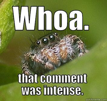 WHOA. THAT COMMENT WAS INTENSE. Misunderstood Spider