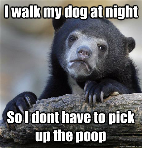 I walk my dog at night So I dont have to pick up the poop  Confession Bear