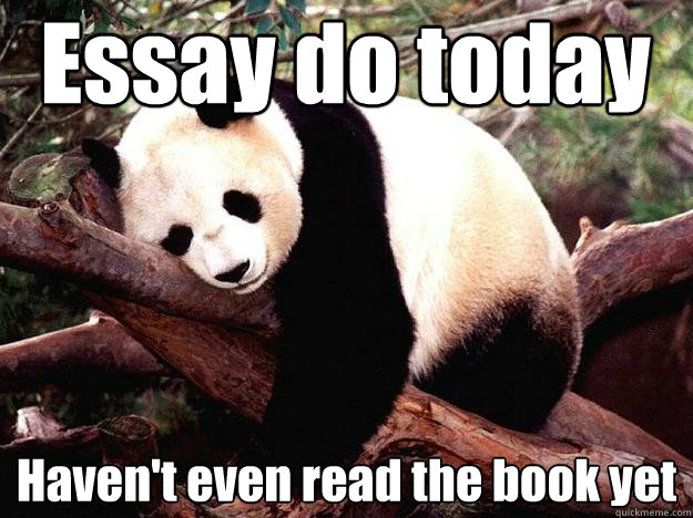 Essay do today Haven't even read the book yet  Procrastination Panda