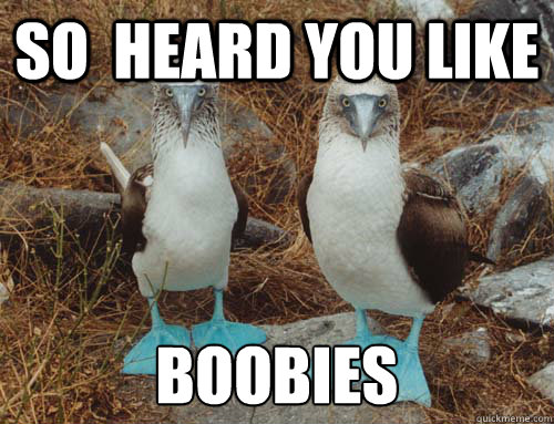 SO  HEARD YOU LIKE BOOBIES  boobie birds