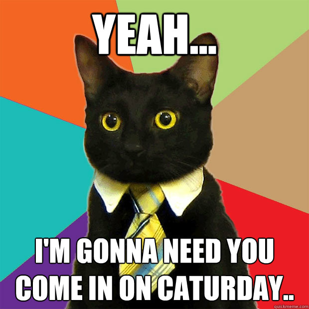 Yeah... I'm gonna need you come in on Caturday..  