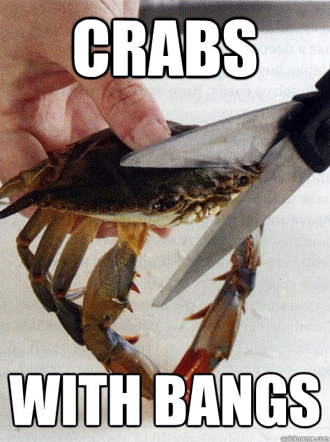 Crabs with bangs  Optimistic Crab