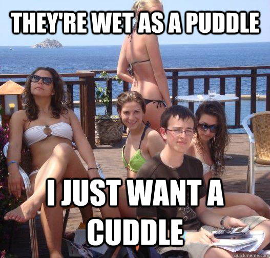 They're wet as a puddle I just want a cuddle  untitled meme