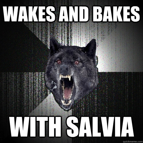 wakes and bakes with salvia - wakes and bakes with salvia  Insanity Wolf