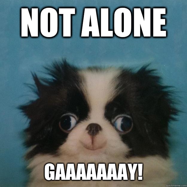 NOT ALONE Gaaaaaaay! - NOT ALONE Gaaaaaaay!  Megusta Puppy