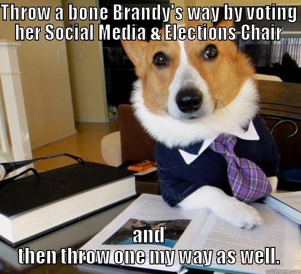 THROW A BONE BRANDY'S WAY BY VOTING HER SOCIAL MEDIA & ELECTIONS CHAIR AND THEN THROW ONE MY WAY AS WELL. Lawyer Dog