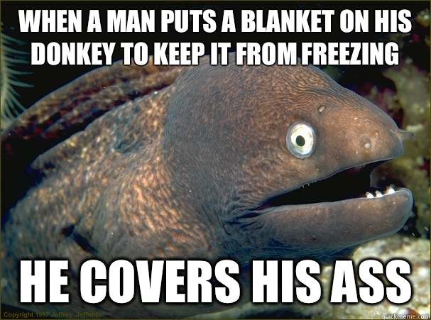 When a man puts a blanket on his donkey to keep it from freezing He covers his ass   Bad Joke Eel