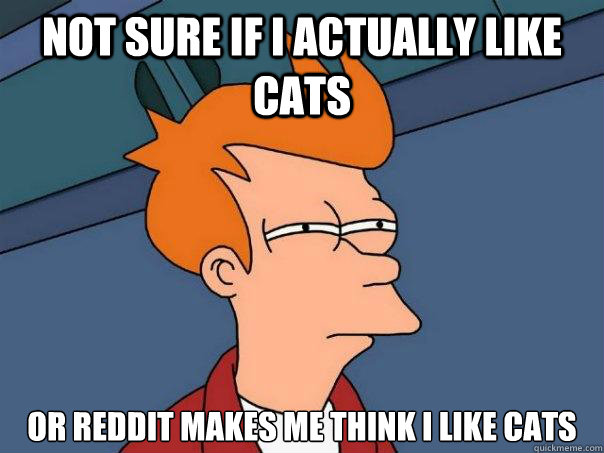 Not sure if i actually like cats or reddit makes me think i like cats - Not sure if i actually like cats or reddit makes me think i like cats  Futurama Fry