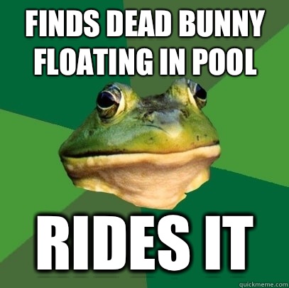 Finds dead bunny floating in pool Rides it - Finds dead bunny floating in pool Rides it  Foul Bachelor Frog