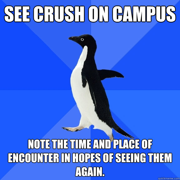 See crush on campus note the time and place of encounter in hopes of seeing them again.  Socially Awkward Penguin