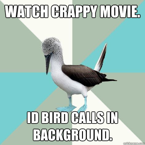 Watch crappy movie. ID bird calls in background.  