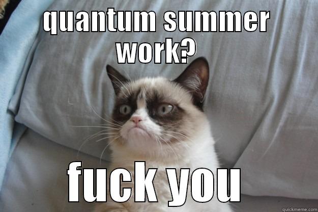 QUANTUM SUMMER WORK? FUCK YOU Grumpy Cat