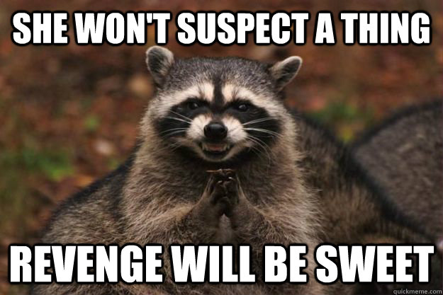 She won't suspect a thing Revenge will be sweet  Evil Plotting Raccoon