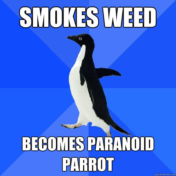 smokes weed becomes paranoid parrot  Socially Awkward Penguin