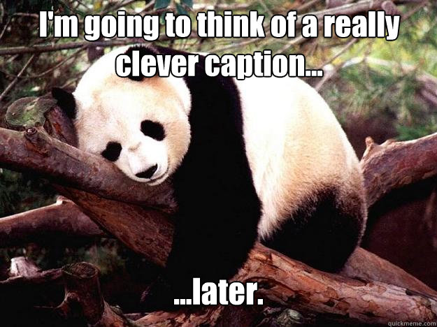 I'm going to think of a really clever caption... ...later.  Procrastination Panda