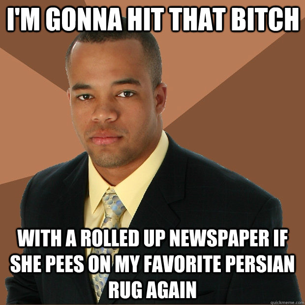 I'm gonna hit that bitch with a rolled up newspaper if she pees on my favorite persian rug again  Successful Black Man