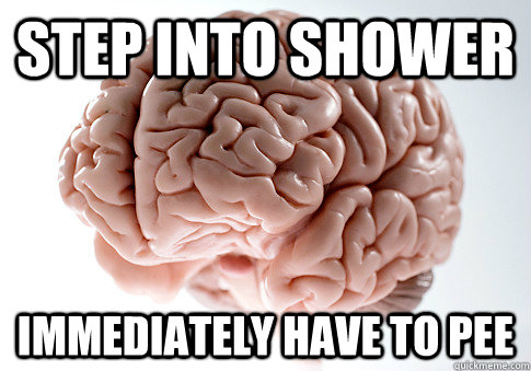 step into shower immediately have to pee  Scumbag Brain