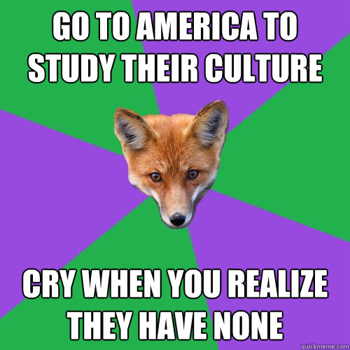 Go to America To Study Their Culture Cry When You realize they have none  Anthropology Major Fox