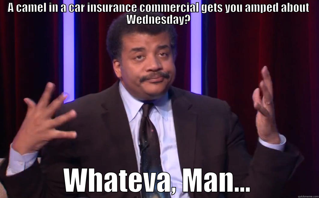 Neil Degrasse says Whateva - A CAMEL IN A CAR INSURANCE COMMERCIAL GETS YOU AMPED ABOUT WEDNESDAY? WHATEVA, MAN... Misc