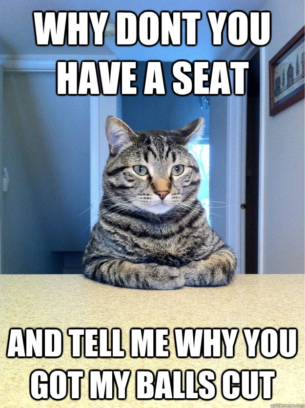 WHY DONT YOU HAVE A SEAT AND TELL ME WHY YOU GOT MY BALLS CUT  Chris Hansen Cat